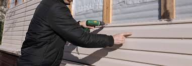 Best Insulated Siding Installation  in Deltana, AK